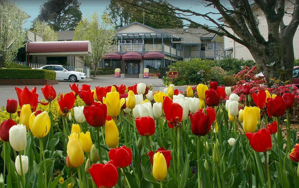 Nesuto Leura Gardens Otel Dış mekan fotoğraf