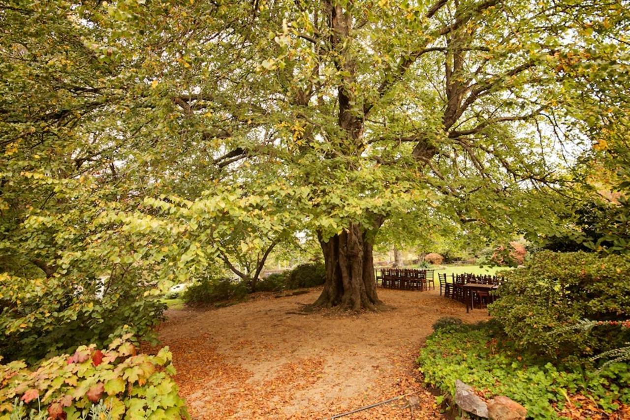Nesuto Leura Gardens Otel Dış mekan fotoğraf