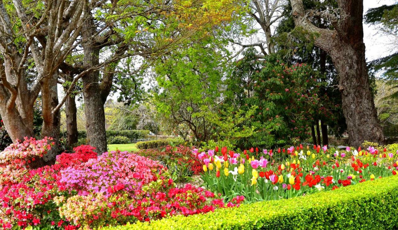 Nesuto Leura Gardens Otel Dış mekan fotoğraf