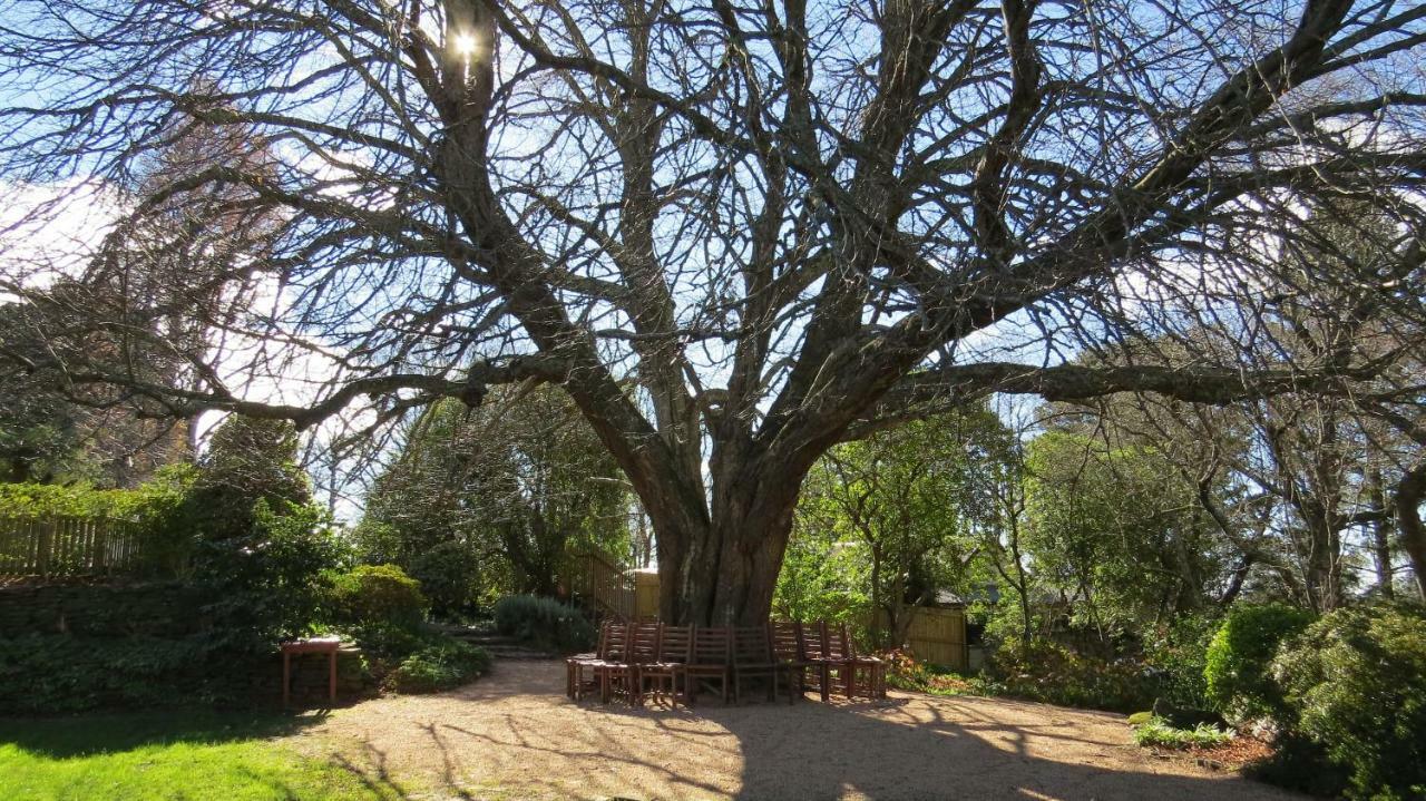 Nesuto Leura Gardens Otel Dış mekan fotoğraf