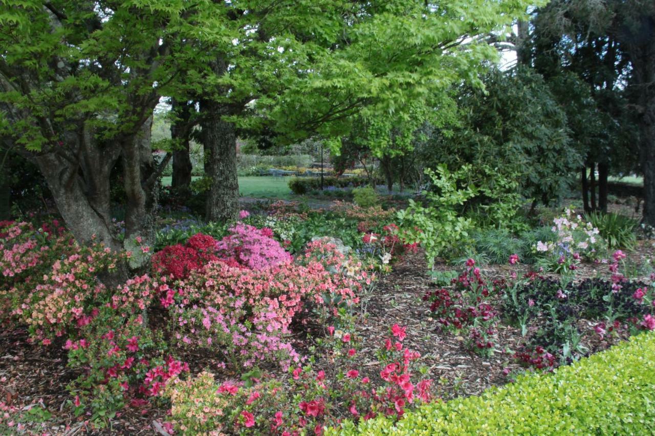 Nesuto Leura Gardens Otel Dış mekan fotoğraf