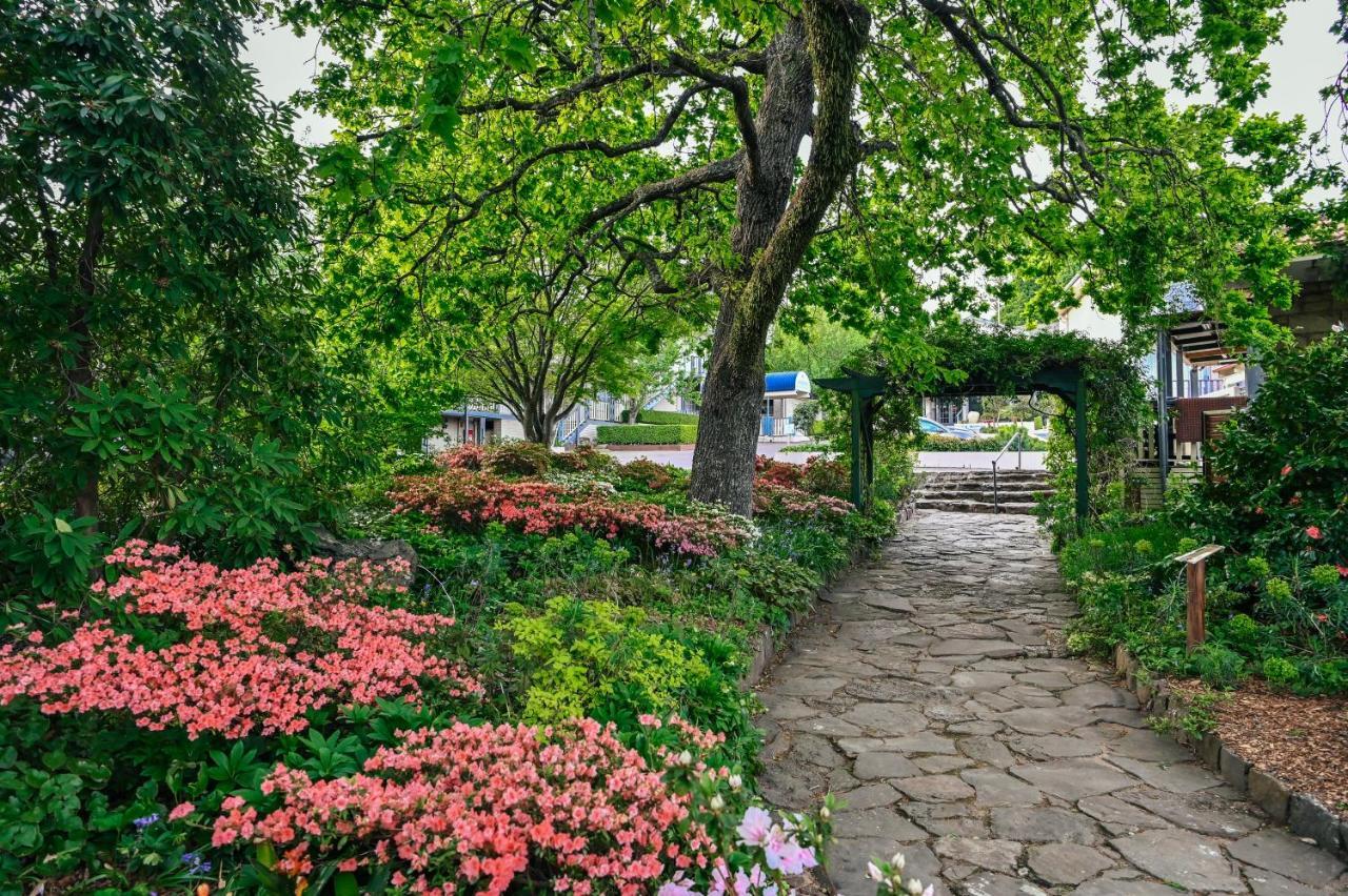 Nesuto Leura Gardens Otel Dış mekan fotoğraf